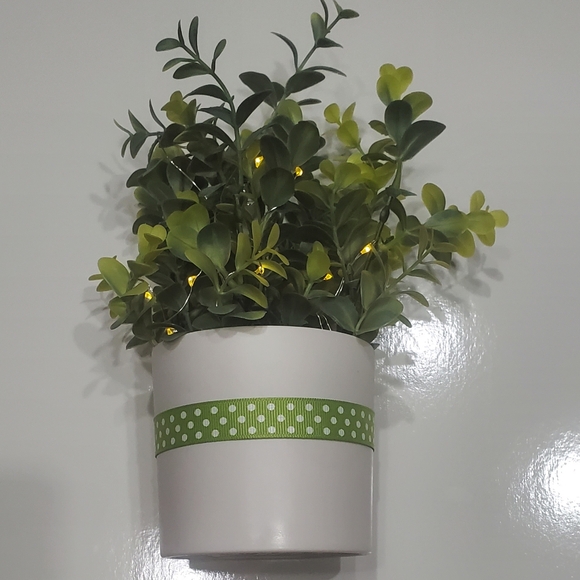 Light Up Plant - Picture 5 of 6